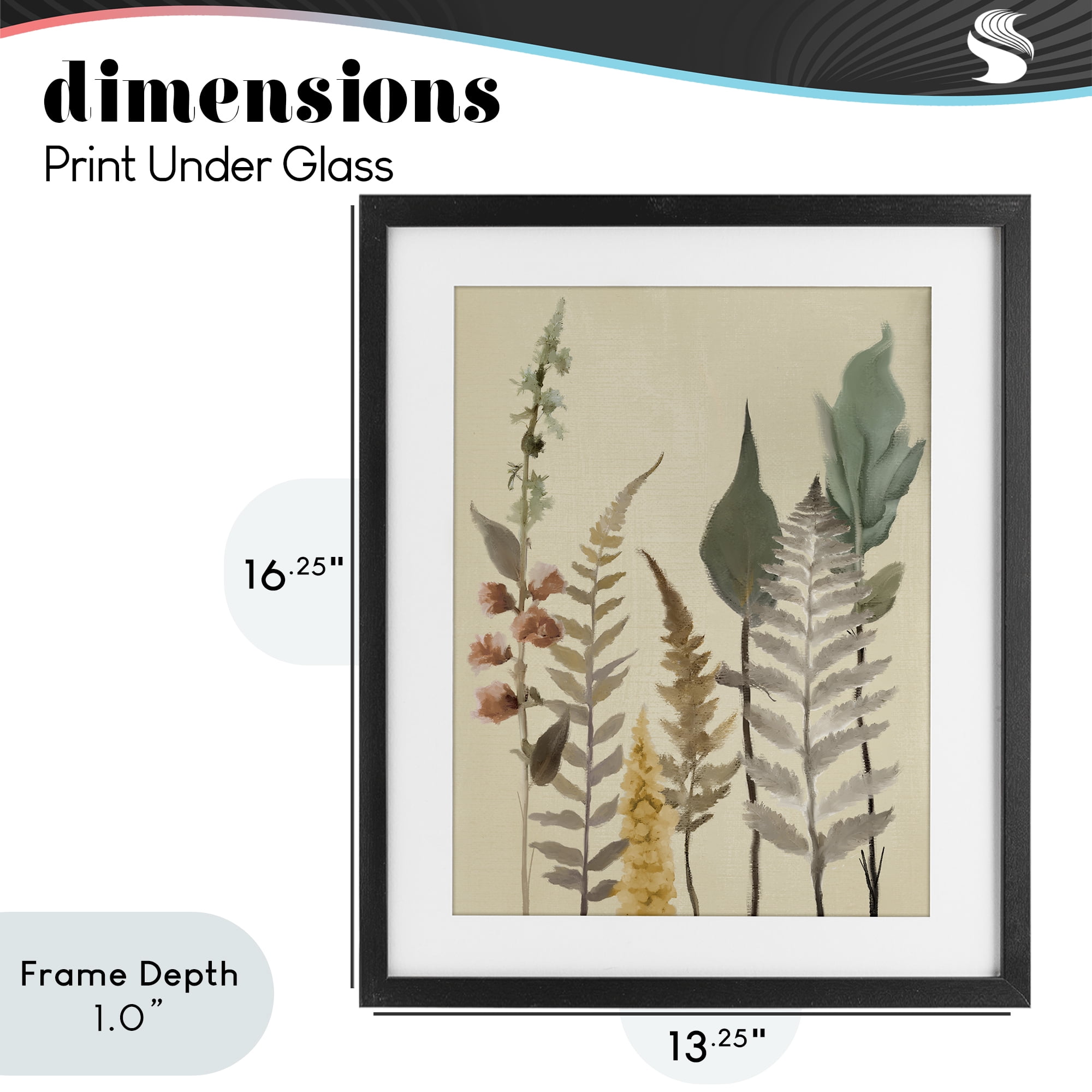 Stupell Industries Fall Botanicals Forest Ferns Black Framed Print Under Glass, design by Elizabeth Medley