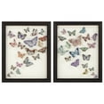 thumbnail image 1 of Set of Two Framed Under Glass Butterflies 8x10 - FRENCH, 1 of 4