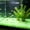 Yellow, variant on YAMB 9x13mm Glow In The Dark Rhombus Pebbles, 100Pcs Multicolor Fluorescent Luminous Stones, Soft Glow No Heat Aquarium Substrate for Fish Tank Landscape Garden Yard Decoration, Army Green