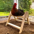 thumbnail image 5 of Chicken Roosting Perch Made in The USA! Roost Toys and Accessories for Coop Heavy Duty Solid Handcrafted Wood Construction for Birds Hens Chook Pollos Gallinas Chicks, 5 of 8