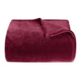 thumbnail image 1 of Winter Warm Blanket Is Suitable For Sofa Bed Soft Comfortable And Lightweight 59x78inch Blanket Heating up Blanket Small Blanket Size Blankets 10 X10 Blanket Extra Warm Throw Blanket Plug in Throw, 1 of 4