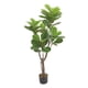 thumbnail image 1 of PLANTA ARTIFICIAL FICUS PANDURATA 145 cm VANLIG, 1 of 2