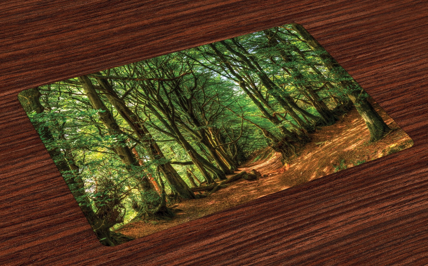Woodland Placemats Set of 4 Woodland Scene with Trees and Pathway