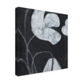 thumbnail image 2 of June Erica Vess 'Monochrome Meadow IV' Canvas Art, 2 of 3