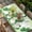 Green, variant on St. Patrick's Day Table Cloths for 3 Foot Rectangle Tables, Green Shamrock Gnomes Watering Can Plants Patio Waterproof Elastic Fitted Tablecloths, Washable Rectangular Table Cover for Camping