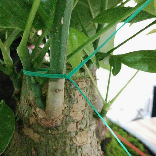 CRILSTYLEO Ataduras Reutilizables Para Plantas Con Resistente Ideal Para Jardinería Y Trepadoras