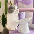 thumbnail image 3 of Necoichi Bol Surélevé Extra Large pour Nourriture de Chat (Chat, Extra Large Incliné), 3 of 9