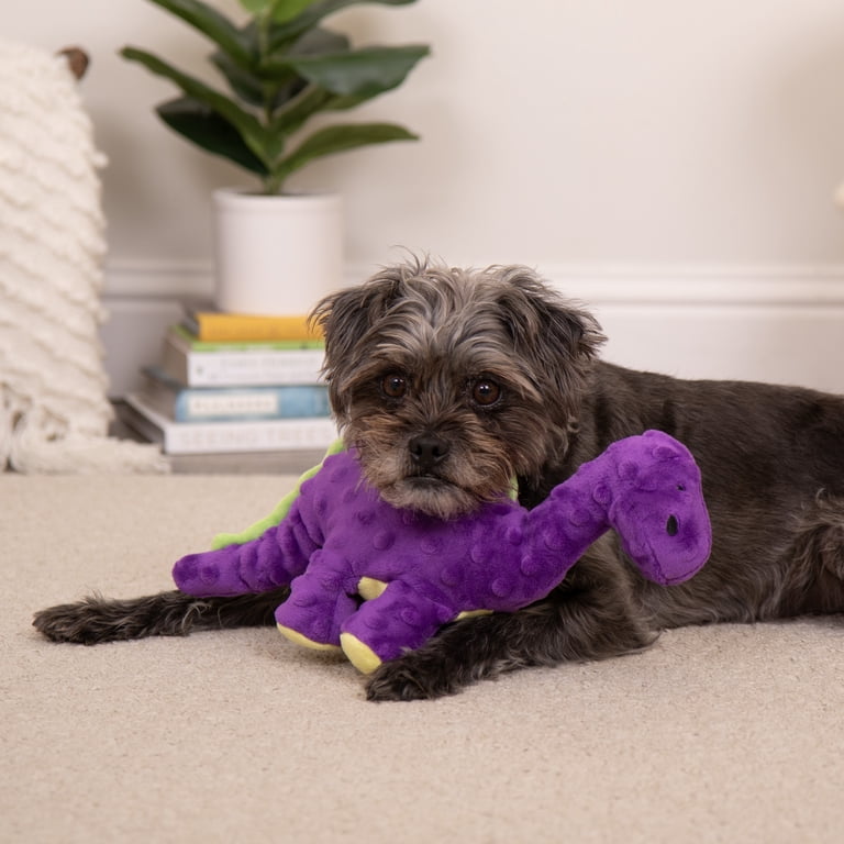 goDog Dinos Bruto Squeaky Plush Toy, Medium Purple photo 8