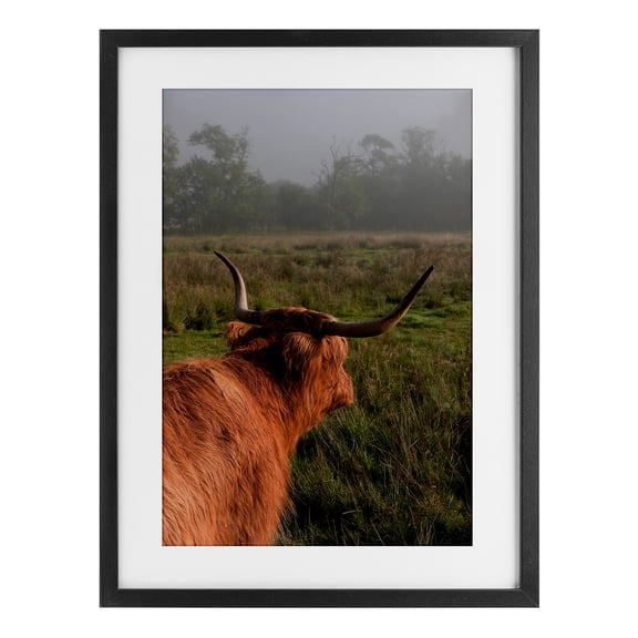 Highland Cow Gazing Out Black Framed Print Under Glass, design by Jenny Rainbow Fine Art