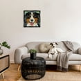 thumbnail image 2 of Stupell Industries Bernese Mountain Dog Collage Animals & Insects Painting Black Floater Framed Canvas Art Print Wall Art, 25 x 25, 2 of 9