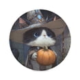 thumbnail image 6 of WOBOGO Wizard Kitten Round Placemats Set of 4 Heat Resistant Washable Kitchen Table Decorations 15.4in, 6 of 7