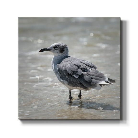 Wexford Home Knee Deep-Premium Gallery Wrapped Canvas, 10" x 10" - Ready to Hang