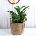 thumbnail image 3 of Cesta de flores de ratán de paja, cesta tejida creativa para el hogar, decoración para el balcón, sala de estar, maceta con plantas verdes, 3 of 5