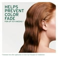 thumbnail image 4 of Biolage Color Last Shampoo & Conditioner 13.5 oz Set - Helps Protect and Maintain Color-Treated Hair, Hydrates and Adds Shine, Paraben & Silicone-Free, Vegan, 4 of 6