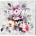 thumbnail image 1 of Bloom Where You Are Planted by Wild Apple Portfolio, Canvas Wall Art, 1 of 1