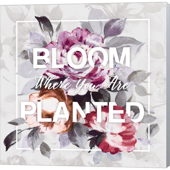 Bloom Where You Are Planted by Wild Apple Portfolio, Canvas Wall Art