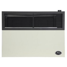 17,000 Btu Direct Vent Propane Heater