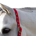 thumbnail image 2 of Hy Holly Fully Adjustable Head Collar, 2 of 4