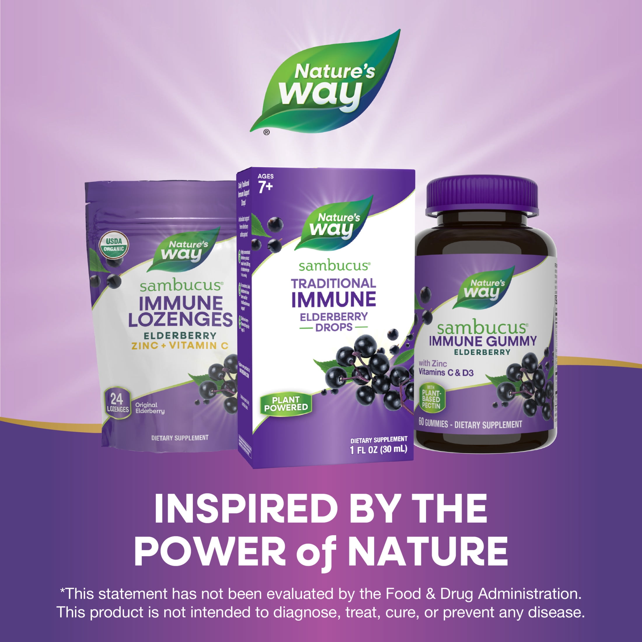 Nature's Way Sambucus Elderberry Drops, 100 mg per Serving, 1 Fl. Oz