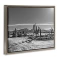thumbnail image 3 of Stupell Industries Sunlit Cactus Valley Brown Framed Floater Canvas Wall Art design by Norm Stelfox, 17 x 21, 3 of 9