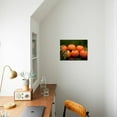 thumbnail image 3 of Satsuma Tangerines II, Botanical Unframed Photographic Print Wall Art by Rachel Perry Sold by Art.Com, 3 of 4