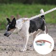 thumbnail image 3 of Collar de piel para perro y correa de 4 pies, collar básico ajustable KUDES, con juego de correa para mascotas de cuero con campana, 3 of 5