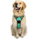 thumbnail image 1 of Rabbitgoo Arnés para Perros, Arnés para Mascotas sin Tirones con 2 Clips para Correa, Chaleco para Perros Acolchado Suave y Ajustable, Chaleco Oxford Reflectante para Mascotas sin asfixia con asa de f, 1 of 4