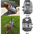 thumbnail image 2 of M, Gray Dog Life Jacket Pet Life Jacket Dog Lifesaver Safety Vest Reflective Waistcoat Adjustable Size Dog Lifejacket for Swimming Surfing Boating Hunting, 2 of 5