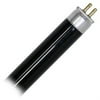 Bulbrite 501304 4-Watt Linear Fluorescent Black Light T5, Mini Bi-Pin Base, Black Light Blue - Pack Of