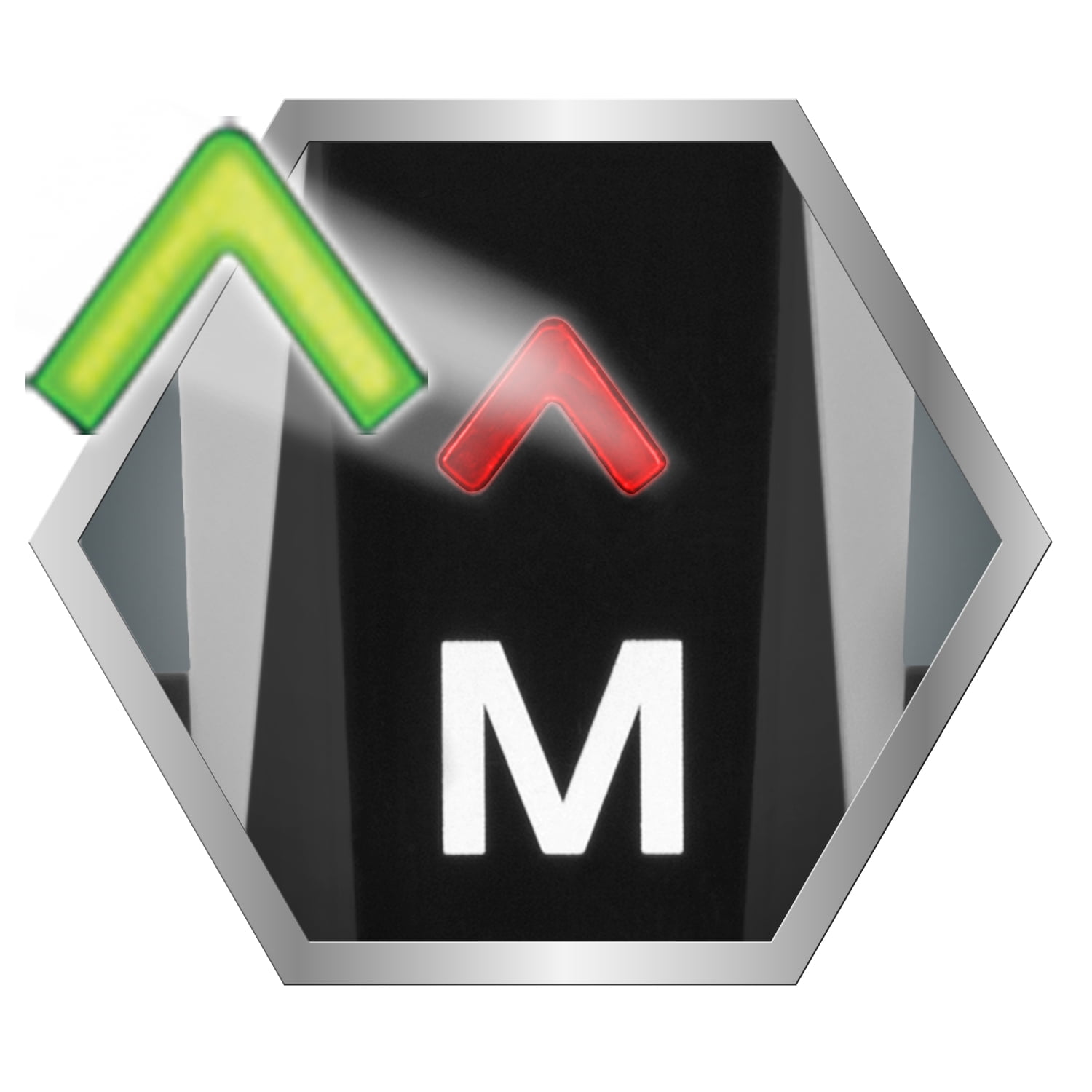 mangroomer 2.0 professional body groomer