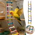 thumbnail image 1 of BotaniNest Bird Ladder For Lovebirds Parrots With Wooden Beads And Climbing Activity Play Gym, 1 of 4