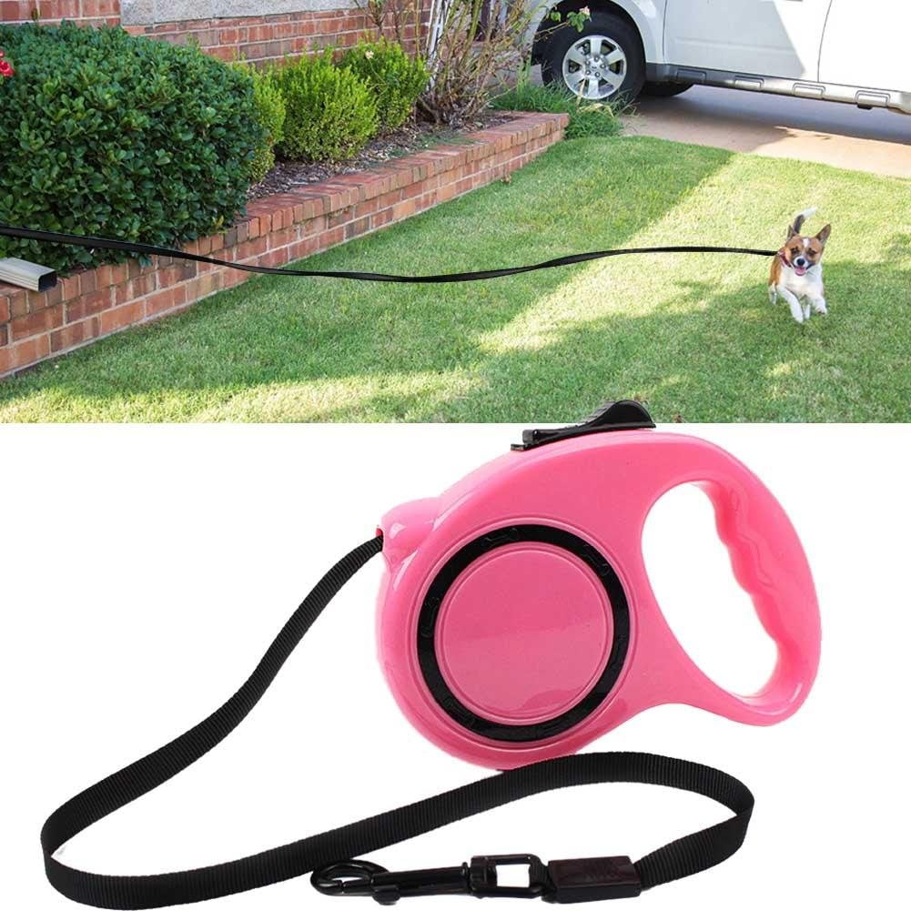 25 foot retractable dog leash Cinosural International School