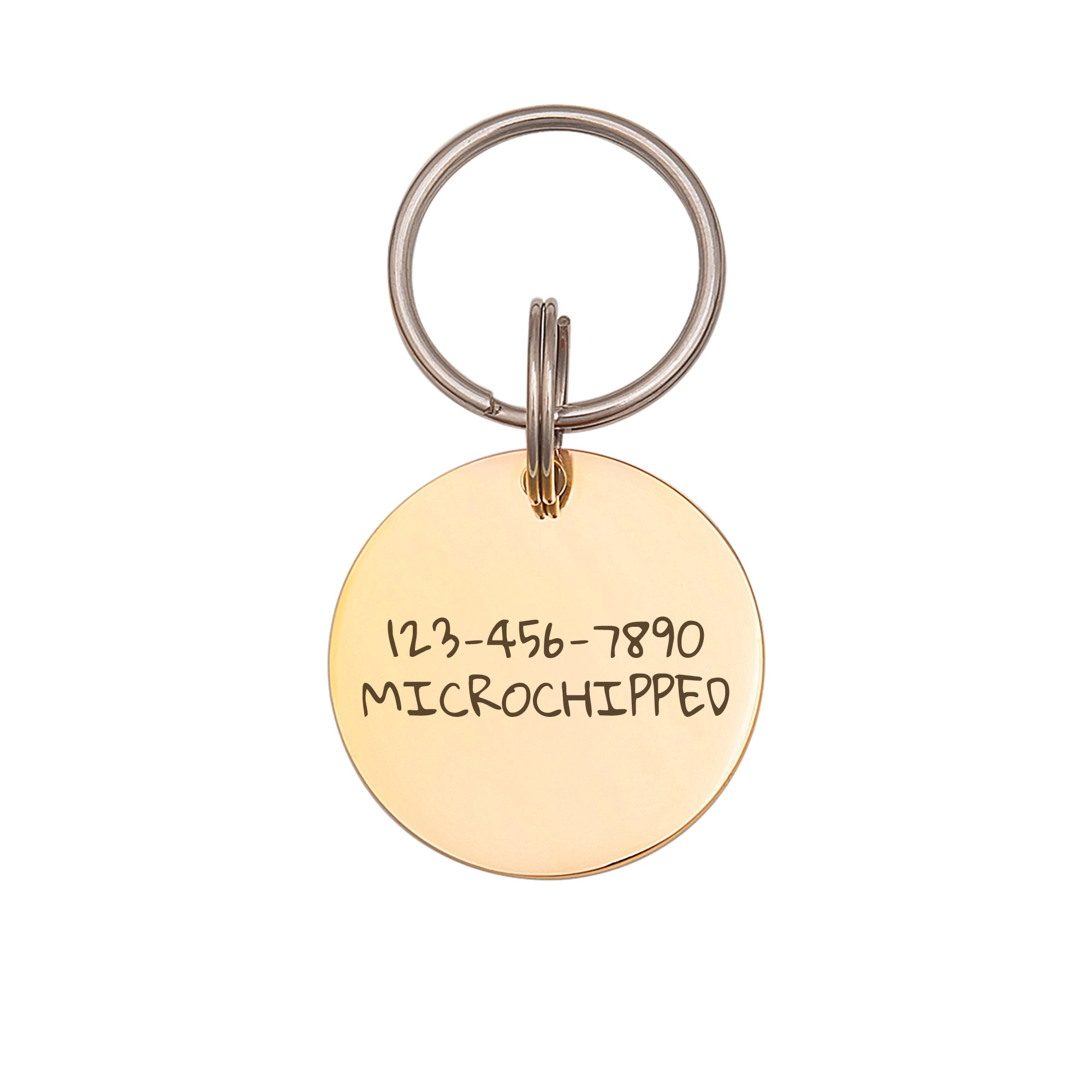 Anavia Stainless Steel Metal Round Name - Icon Birthday Holiday Christmas Engraved Dog ID Tag, Gold