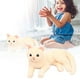 thumbnail image 2 of Juguete generoso Juguete de gato realista y suave de 28 cm Juguete bonito para niños de 3 años, 2 of 8