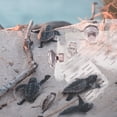 thumbnail image 1 of UPOUART Easy Install Transparent Turtle Tank Basking Platform for Turtle Habitat, 1 of 8