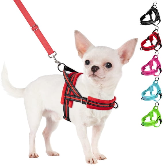 SlowTon Harnais et Laisse pour Petit Chien, Harnais Doux pour Chiot, Réglable pour Cou et Poitrine, Harnais Léger Réfléchissant et Combo Anti-Torsion pour Petits et Moyens Chiens (Panne avant, TTP)
