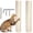 White, variant on YOYTOO 15.7" Cat Scratching Post Replacement Cat Scratcher Refill Poles for Indoor Cats with M8 Screws, White, 2Pcs