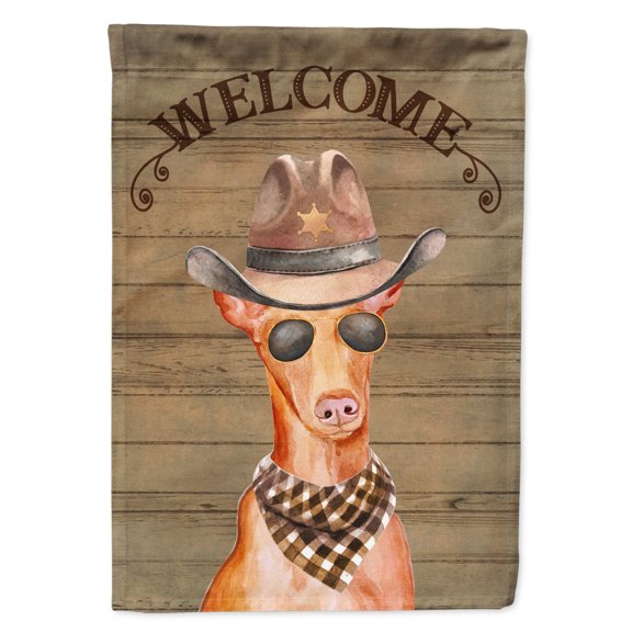 Carolines Treasures CK6347CHF Pharaoh Dog Country Dog Flag Canvas House Size  Large multicolor