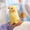6.7in/17cm, variant on Realistic Parrot Plush Toy,Soft Cute Bird Stuffed Animal Doll Relieves Anxiety, Cures Plush Pet Companion Gift