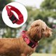 thumbnail image 3 of Collar de perro ajustable con mango de control, collar de entrenamiento para pequeños, medianos y grandes rojo Yuyangstore cuello grande, 3 of 8