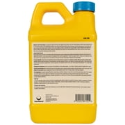 Pool Central 64 Oz. Nature's Care Pure Zyme Clarifier for Swimming Pools