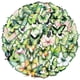 thumbnail image 2 of Calcomanías PET realistas con mariposas verdes, 50 unidades, para SCR, 2 of 2