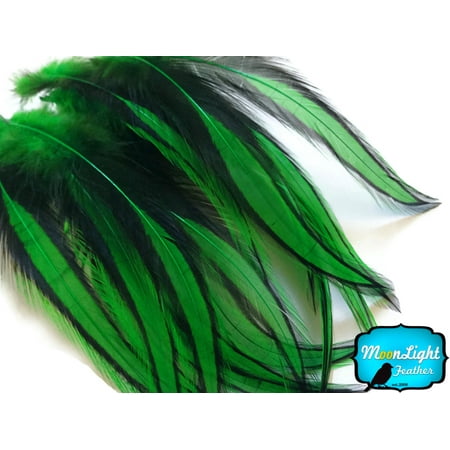 Kelly Lace - 10 Pieces - Kelly Green Laced Long Rooster Cape Feathers