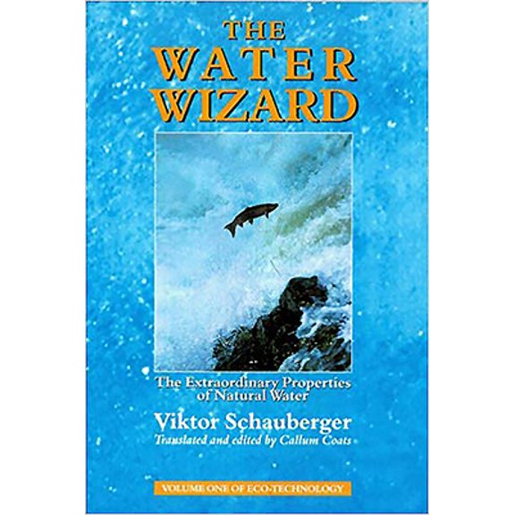 Pre-Owned The Water Wizard: The Extraordinary Properties of Natural Water (Paperback) 1858600480 9781858600482