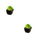 thumbnail image 3 of Cateissary Plantas en macetas de cerámica negra suculentas verdes artificiales, planta de bonsái de flores, jardín, oficina, balcón, Type1 NO1, 3 of 6