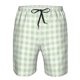 thumbnail image 3 of Fotbe Pistachio Green Checkboard Trajes de Baño Estampados para Hombre, Shorts de Verano de Secado Rápido, Ropa de Playa, Bañadores-Medium, 3 of 6