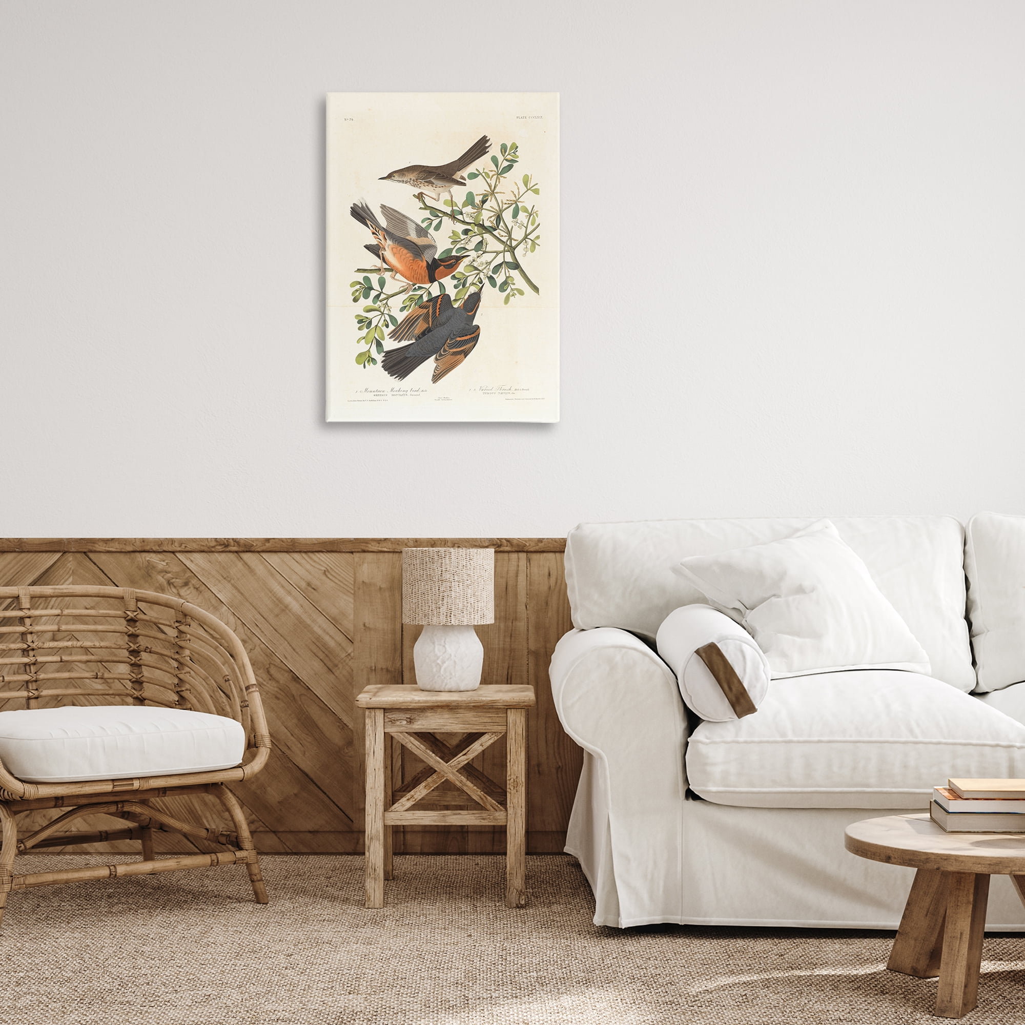 Stupell Industries Classic Audubon Bird Study Animals Painting Wrapped Canvas Art Print Wall Art, 20 x 30