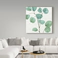 thumbnail image 3 of Trademark Fine Art 'Mixed Greens LII' Canvas Art by Lisa Audit, 3 of 3