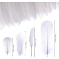 thumbnail image 4 of 400PCS White Feathers 3-7inch, 4 Styles Assorted Feathers for Wedding Halloween Costume Dream Catcher Party Decorations Supplies DIY Crafts, 4 of 7