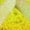 Yellow, variant on Flat Colorfull Slim - Yellow